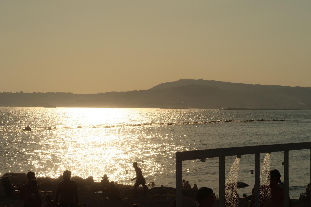 A bay at golden hour, the shoreline in silhouette